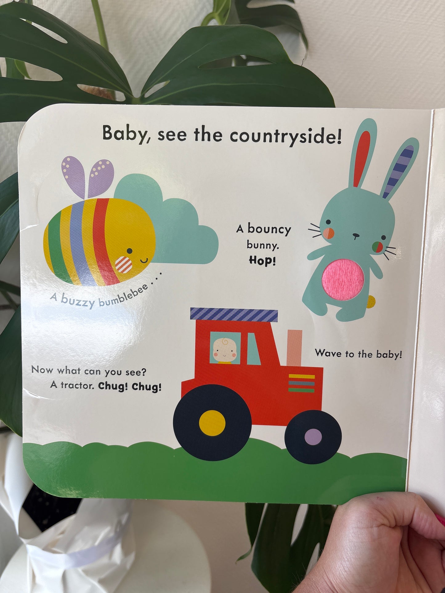 Book - Baby Touch - Peekaboo