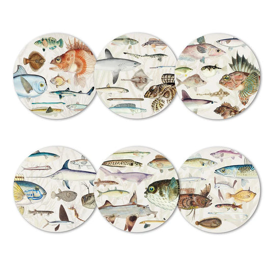 Coasters - Fishes of NZ Set of 6