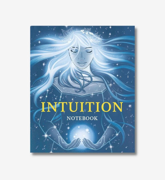 Intuition Notebook