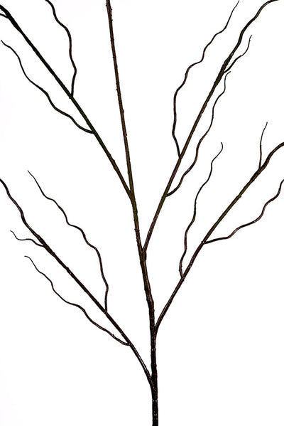 Twisted Willow Branch - 1.3m