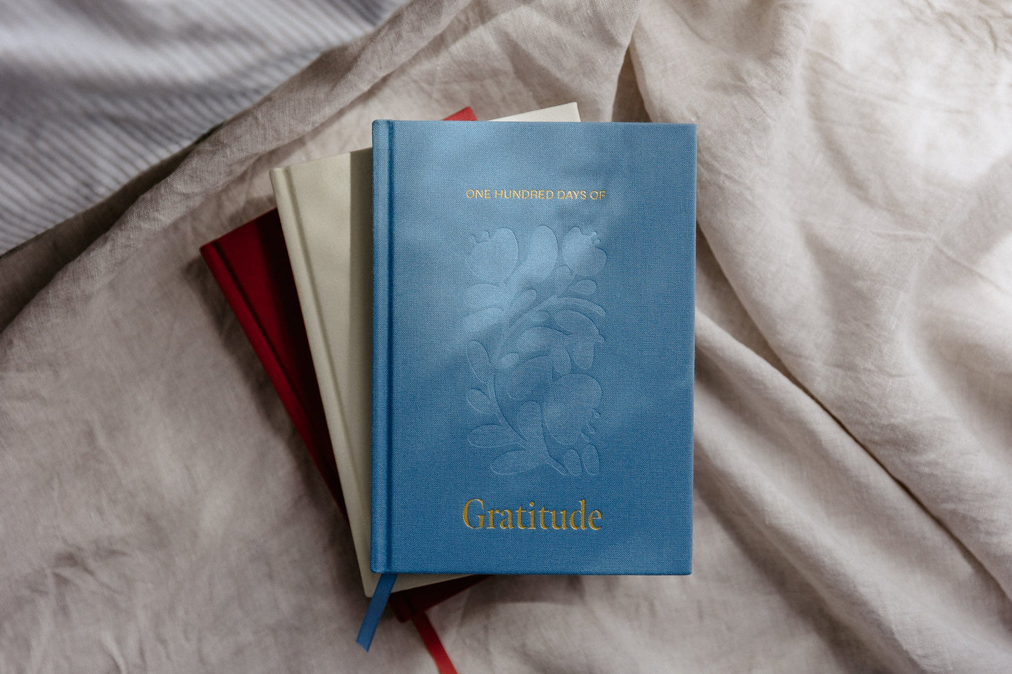 Journal - Grattitude - 100 Days of Grattitude Journal