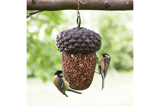 Bird Feeder Acorn